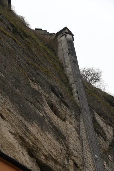 DSC_7109 (Large).JPG